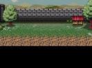 Fon_4