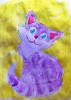 cat__1