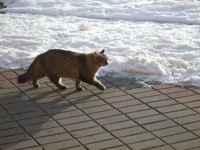 Minsk_2