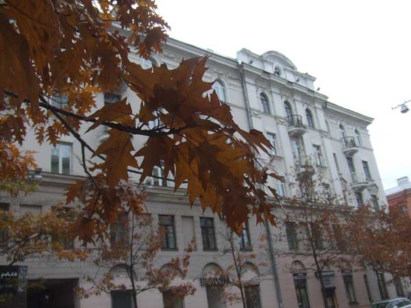 В Минске еще сохранились листья на деревьях